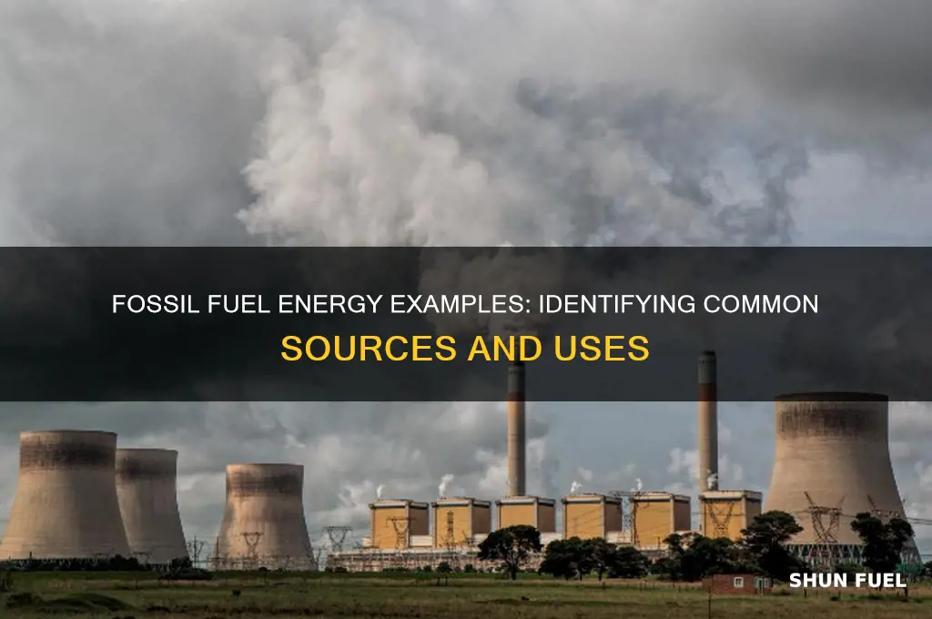 which of the below are examples of fossil fuel energy