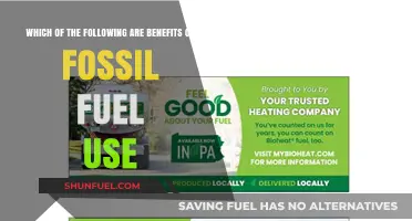 Fossil Fuels: Powering Our World, Pros and Cons
