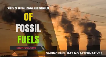 Fossil Fuels: Examples and Their Impact
