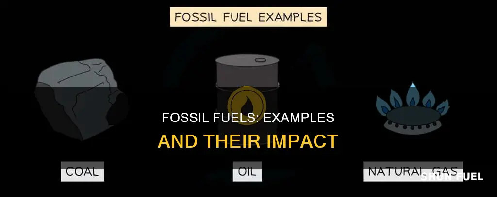which of the following are examples of fossil fuels