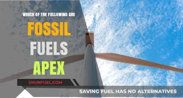 Fossil Fuels Explained: Identifying the Apex Energy Sources