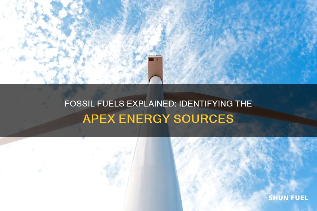 which of the following are fossil fuels apex