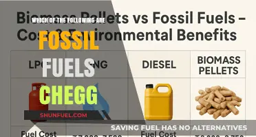 Fossil Fuels Explained: Identifying Types and Chegg Insights