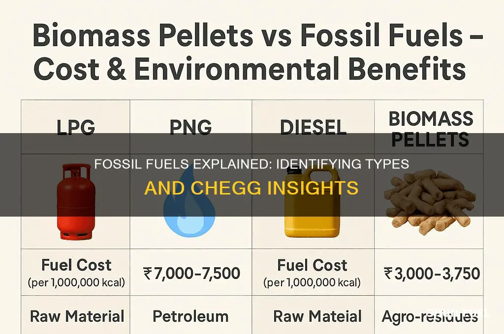 which of the following are fossil fuels chegg