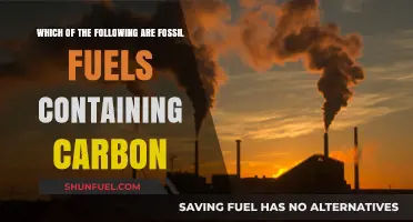 Fossil Fuels: Identifying Carbon-Rich Energy Sources and Their Impact