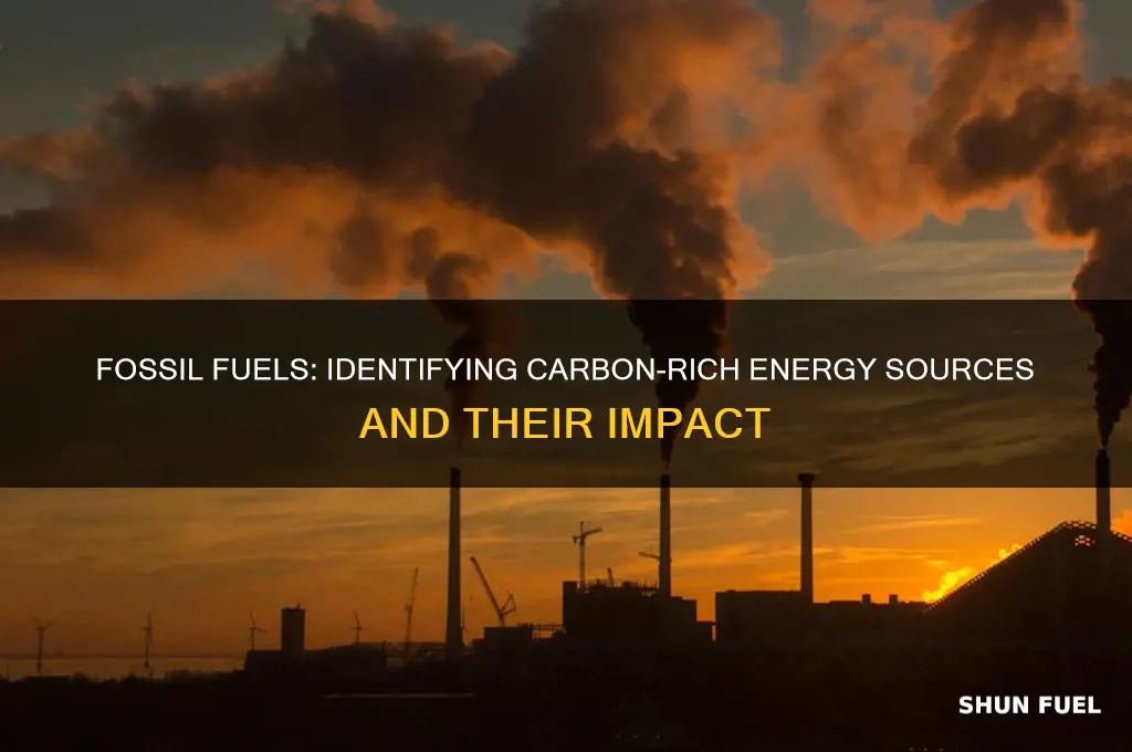 which of the following are fossil fuels containing carbon