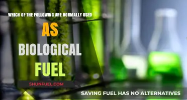 Exploring Biological Fuels: Common Sources and Their Applications