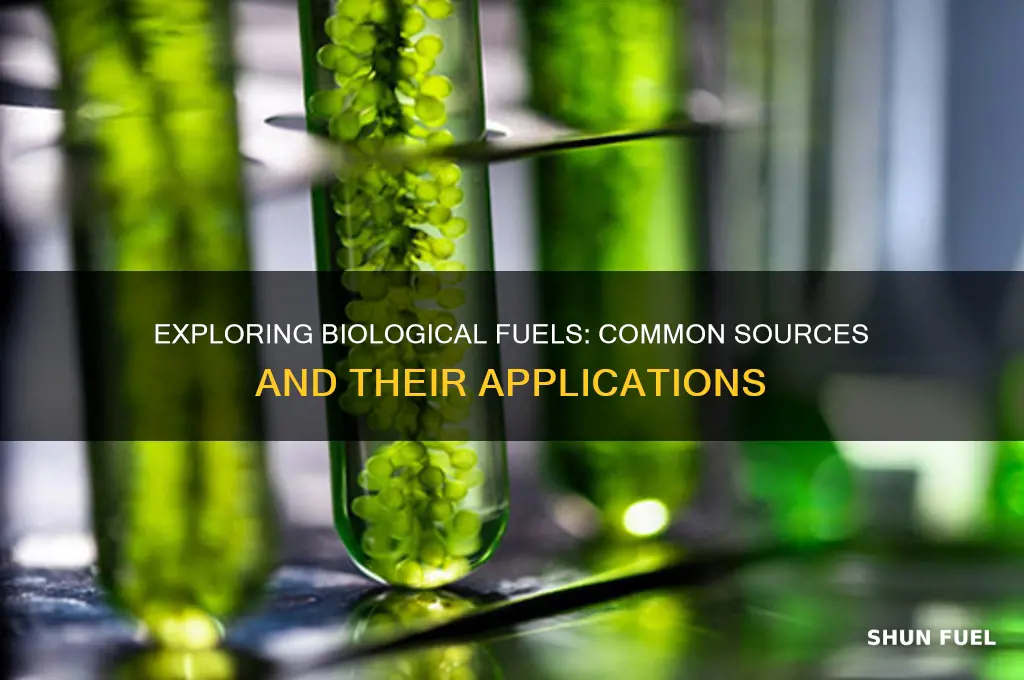 which of the following are normally used as biological fuel