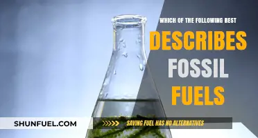 Understanding Fossil Fuels: Origins, Types, and Environmental Impact Explained