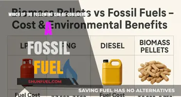 Identifying Fossil Fuels: Coal, Oil, and Natural Gas Explained