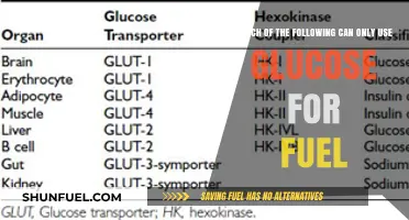 Glucose-Dependent Organs: Unveiling Tissues That Solely Rely on Glucose for Energy