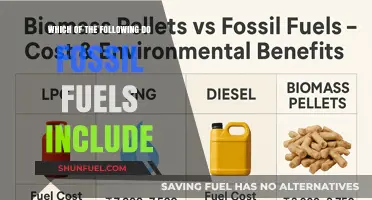 Understanding Fossil Fuels: Coal, Oil, and Natural Gas Explained