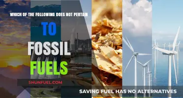 Unraveling the Myth: What's Not Linked to Fossil Fuels?