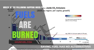 How Fossil Fuels Impact Our Environment