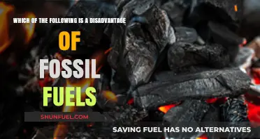 Fossil Fuels' Dark Side: Environmental and Economic Downsides Explained