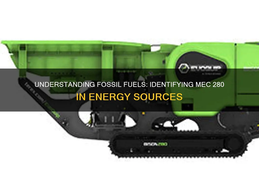 which of the following is a fossil fuel mec 280