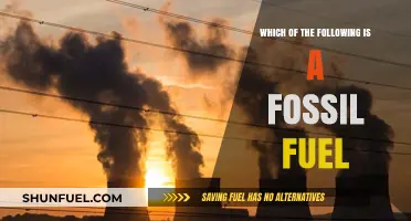 Fossil Fuels: What Are They and How Do We Use Them?