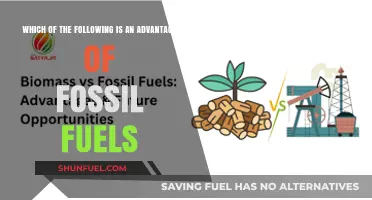 Fossil Fuels: Unlocking Energy Reliability and Economic Growth Advantages