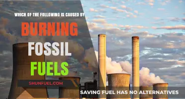 Burning Fossil Fuels: Unveiling the Environmental Consequences and Impacts