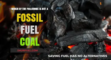 Is Coal a Fossil Fuel? Debunking Energy Source Myths