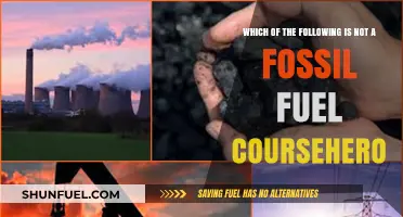 Identifying Non-Fossil Fuel Sources: A Coursehero Guide to Energy Types