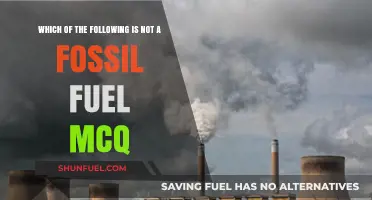Identifying Non-Fossil Fuels: A Multiple Choice Question Guide