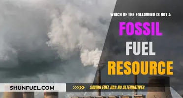 Identifying Non-Fossil Fuel Resources: What Doesn't Fit the List?