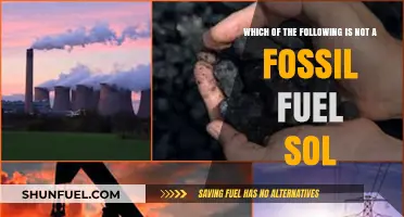 Identifying Non-Fossil Fuel Sources: Which Option Doesn't Belong?