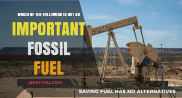 Unveiling the Odd One Out: Fossil Fuels and Their Importance