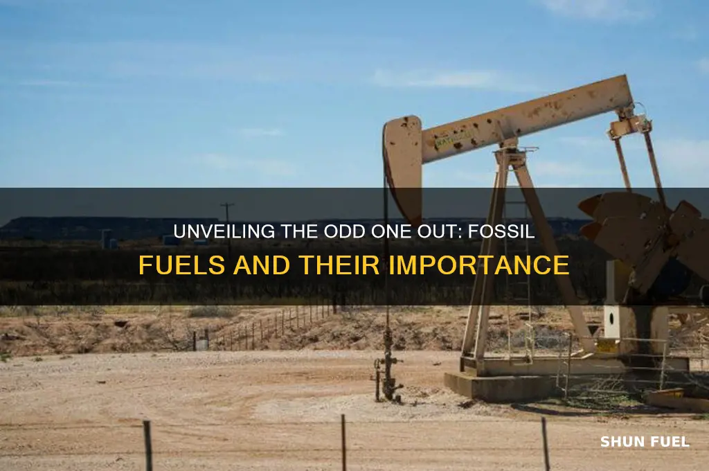 which of the following is not an important fossil fuel