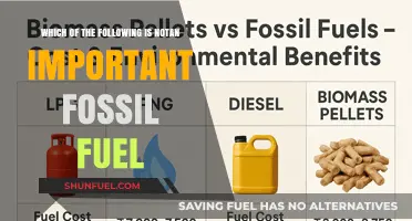 Unveiling the Odd One Out: Fossil Fuel Importance Explained