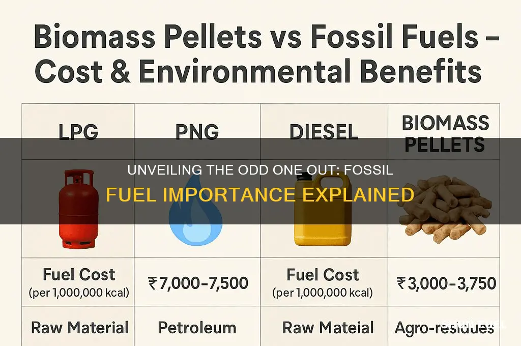 which of the following is notan important fossil fuel