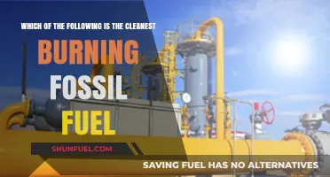 Cleanest Fossil Fuels: What's the Greenest Option?