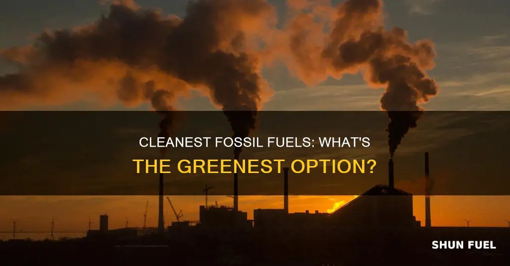 which of the following is the cleanest burning fossil fuel
