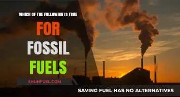 Fossil Fuels: Debunking Myths and Uncovering Their True Impact