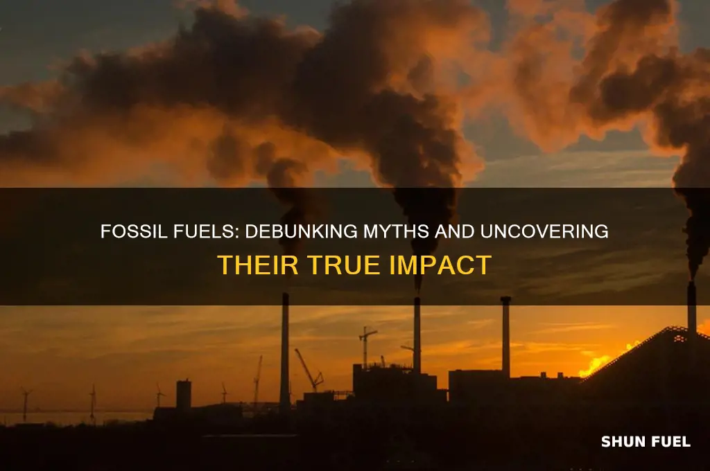 which of the following is true for fossil fuels