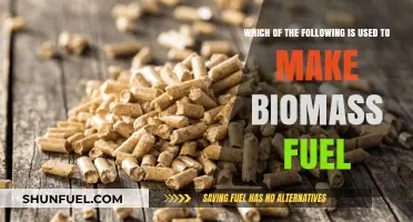 Sustainable Energy Sources: What Materials Are Used to Make Biomass Fuel?