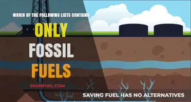 Identifying Fossil Fuels: Which List Contains Only Coal, Oil, and Gas?