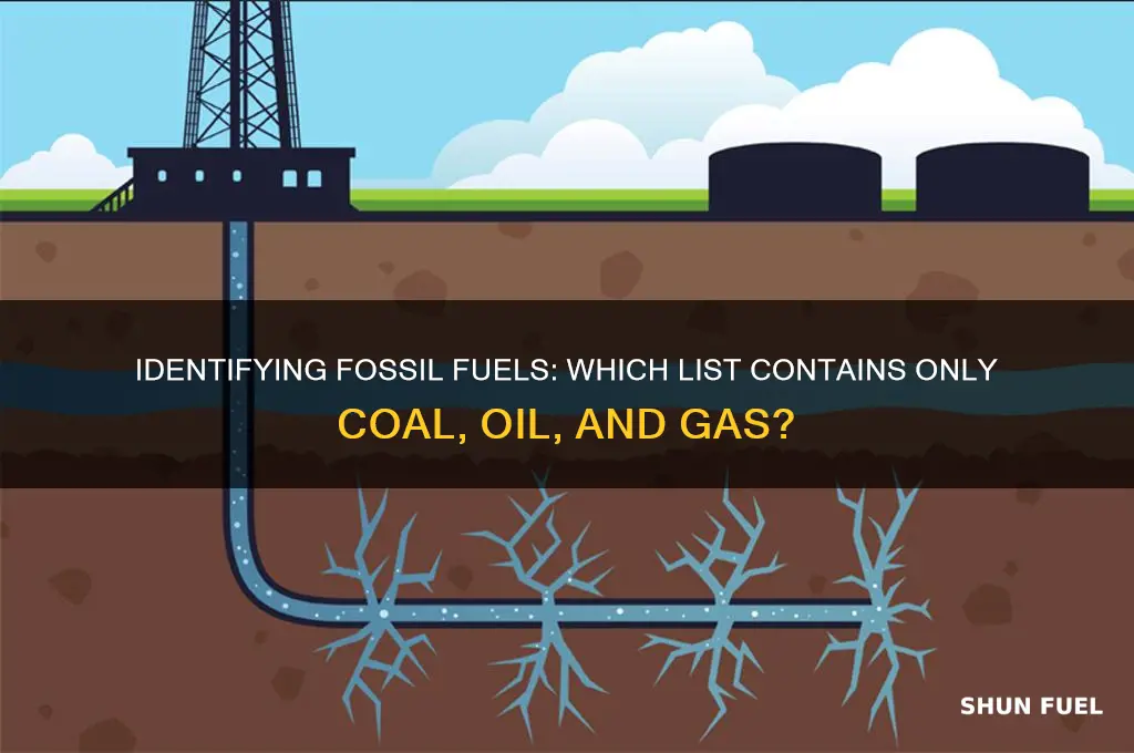 which of the following lists contains only fossil fuels