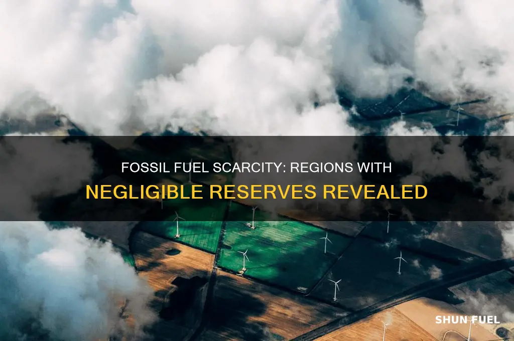 which of the following regions has negligible fossil fuels