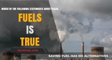 Fossil Fuels: What's the Real Truth?