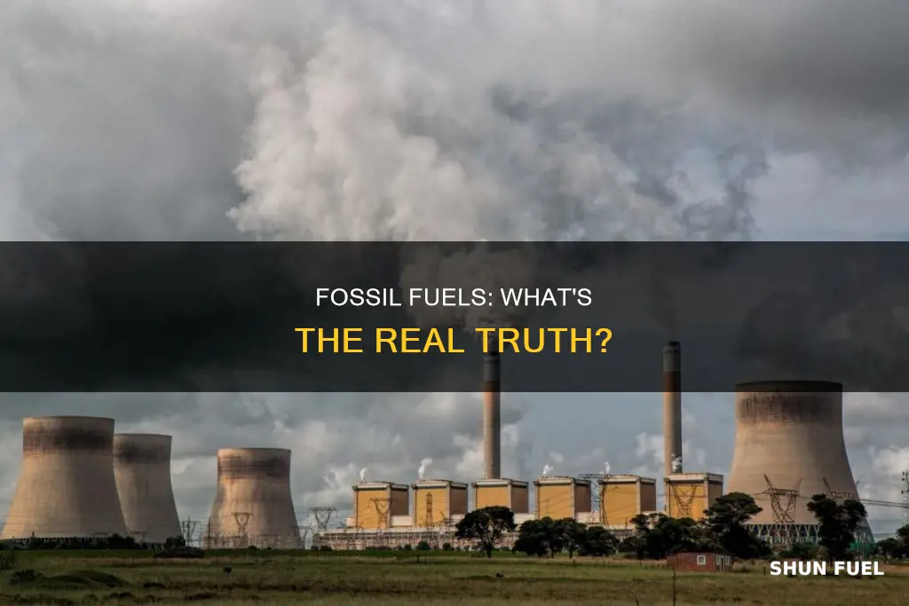 which of the following statements about fossil fuels is true