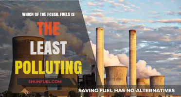 Comparing Fossil Fuels: Which One Pollutes the Least and Why?
