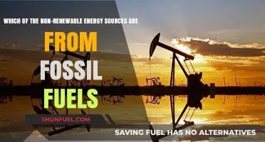 Fossil Fuels: Uncovering Non-Renewable Energy Sources and Their Origins