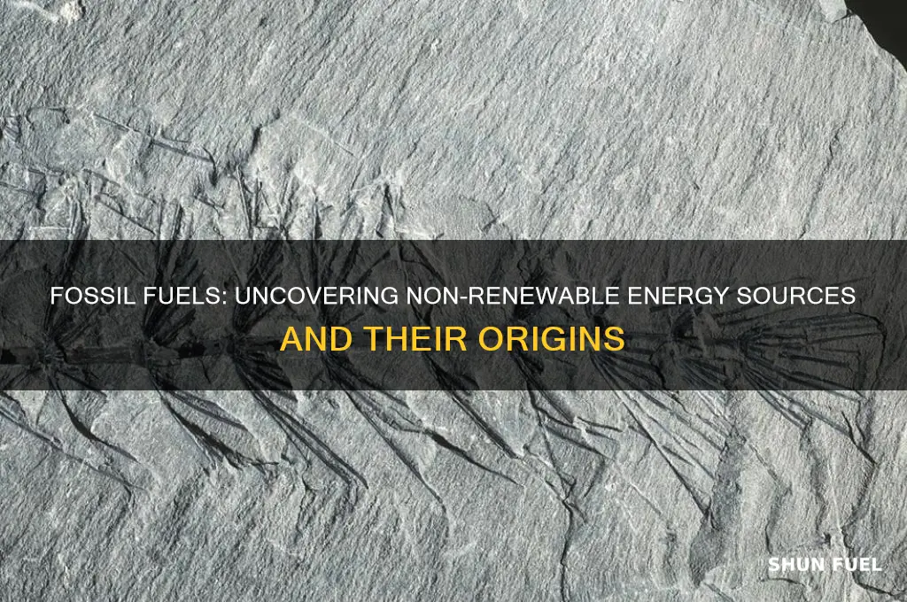 which of the non-renewable energy sources are from fossil fuels