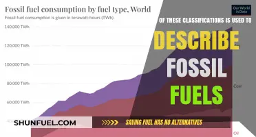 Understanding Fossil Fuels: Classifications and Their Key Descriptions Explained