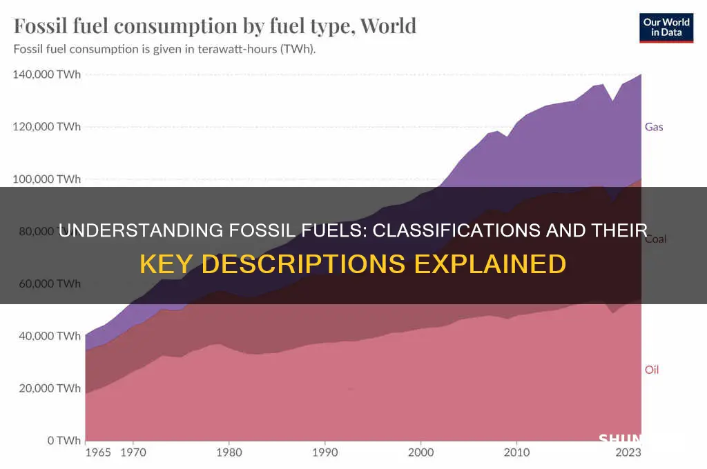 which of these classifications is used to describe fossil fuels