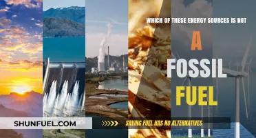 Renewable vs. Fossil Fuels: Identifying the Non-Fossil Fuel Energy Source