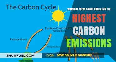 Comparing Fossil Fuels: Which One Produces the Most Carbon Emissions?