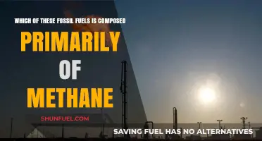 Fossil Fuel Fundamentals: Methane's Primary Presence